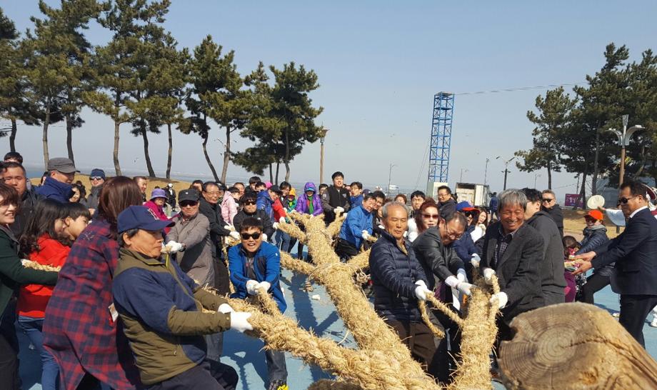 기지시줄다리기리의 매력에 빠지다 이미지