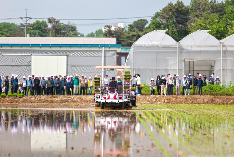 당진시, 드문모심기 기술 확산을 위한 이앙연시회 개최 이미지