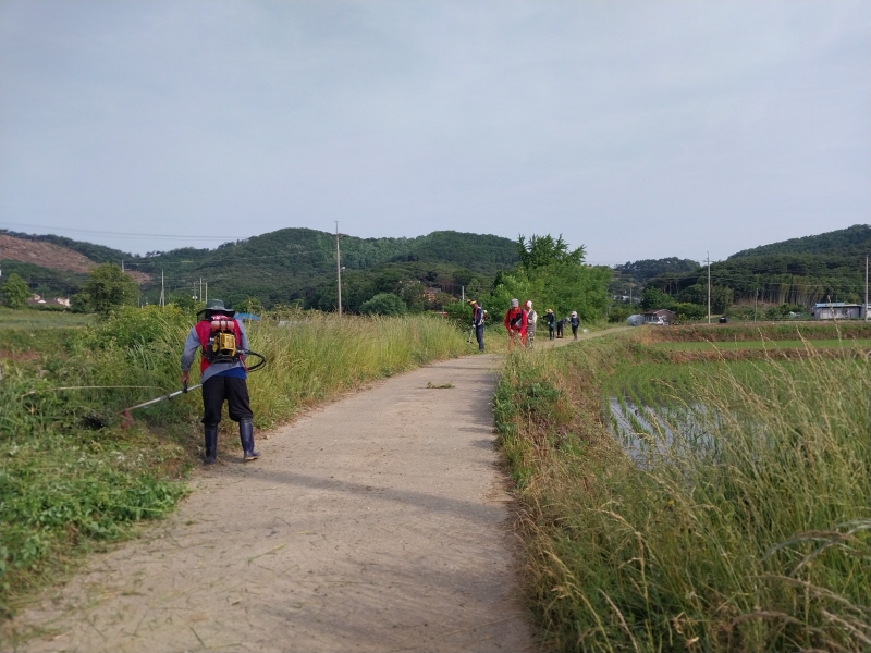 정미면 수당리 주민 일동, 제초 작업으로  ‘아름다운 정미’ 만들기 앞장 이미지