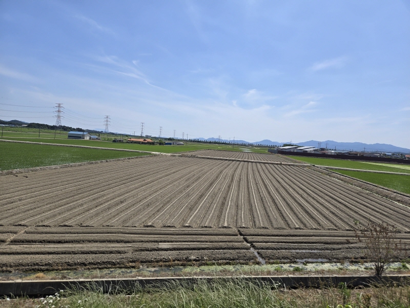 당진시, 논콩 재배 기술 지도 본격 강화 이미지