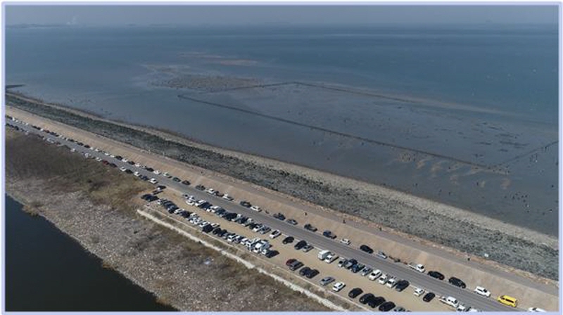 당진시, 석문방조제 무인 비행장치(드론) 순찰 실시 이미지