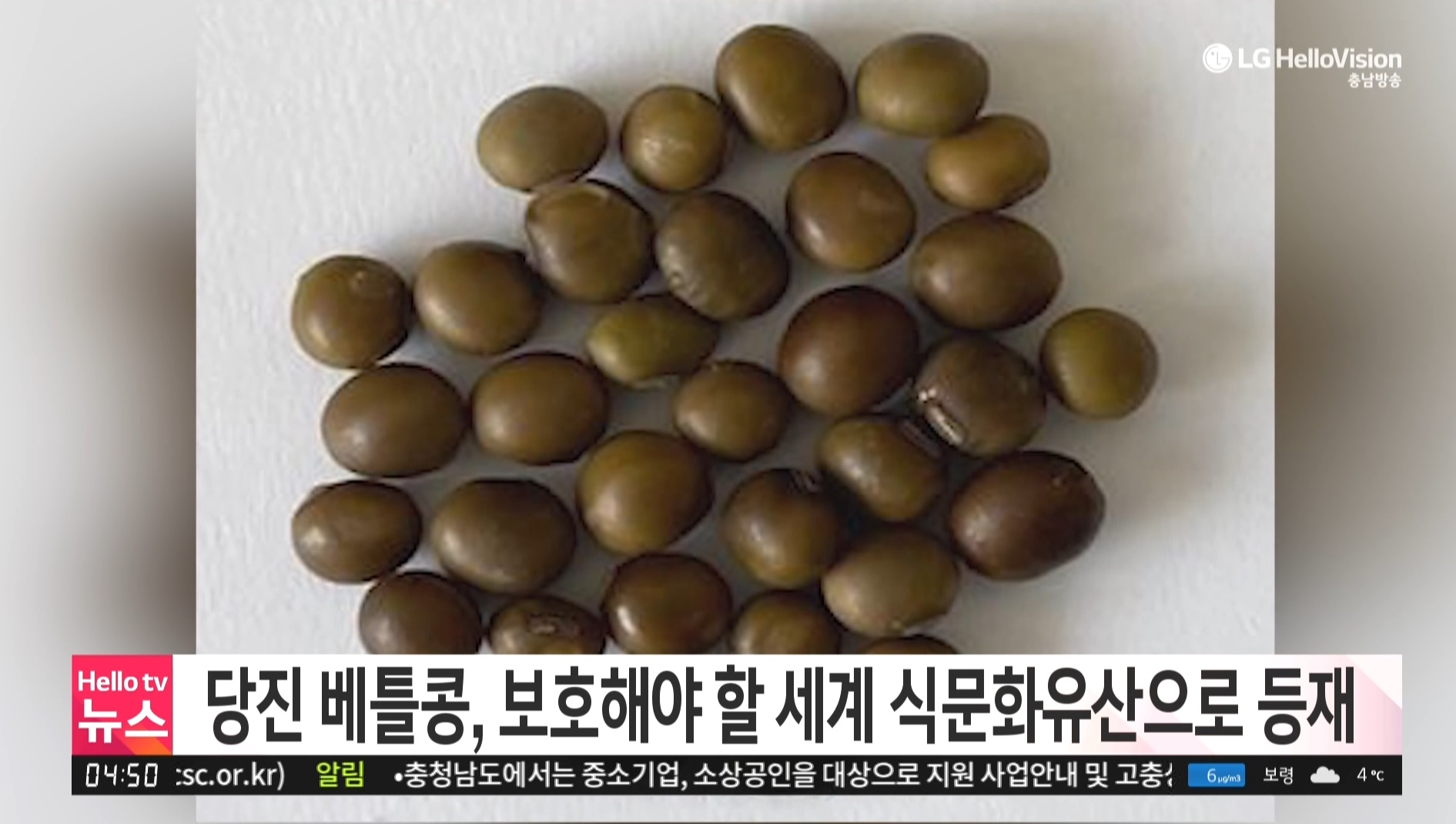 당진 베틀콩, 보호해야 할 세계 식문화유산으로 등재_충남방송뉴스보도_03.04 이미지