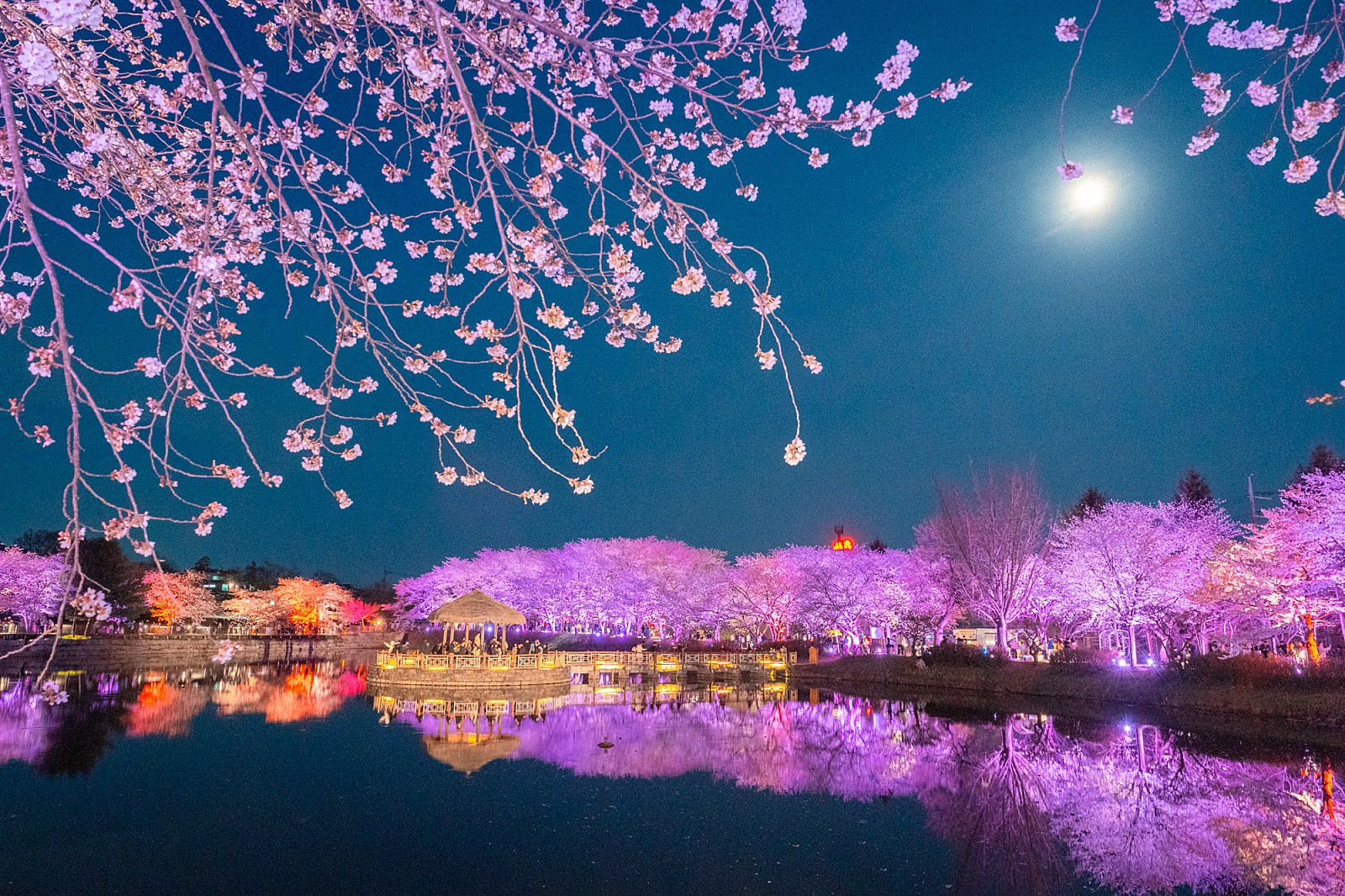 서울 및 수도권에서 1시간 거리! 당진 벚꽃 여행지 best 3 이미지
