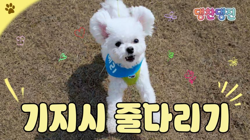 메리와 함께하는 댕찬댕진 [기지시...